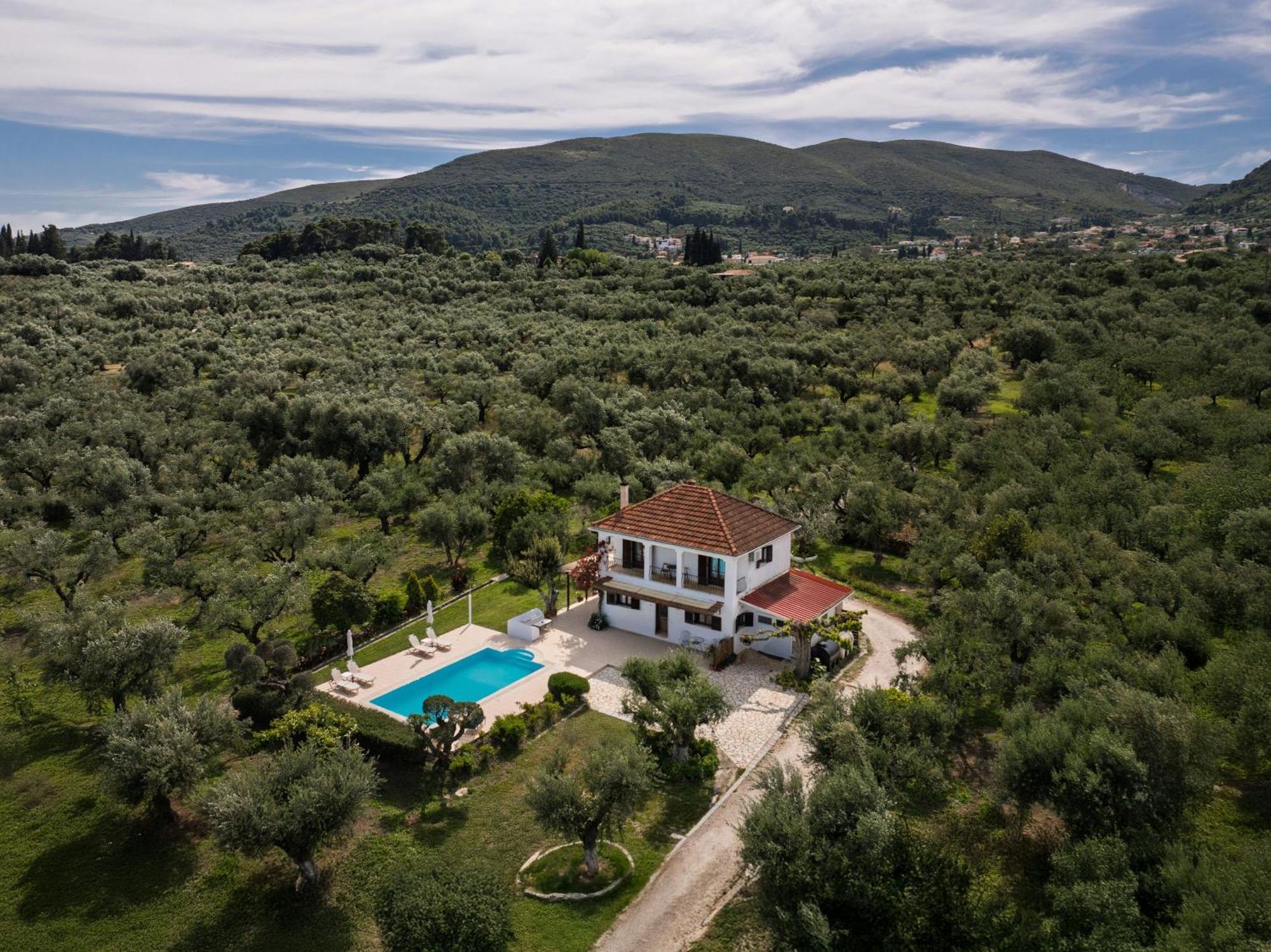 Villa Lola - 3 Bedrooms & Private Pool Lithakia  Exterior foto